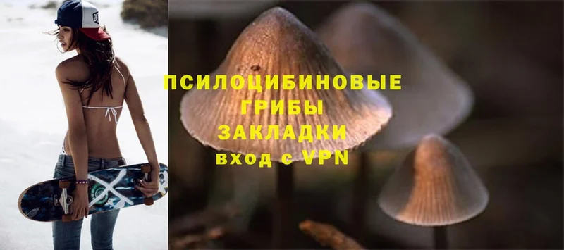 Галлюциногенные грибы Magic Shrooms  ОМГ ОМГ онион  это наркотические препараты  магазин продажи   Бирюсинск 